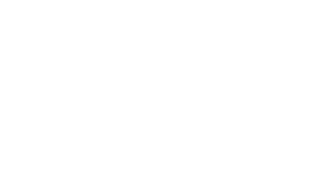 transitions